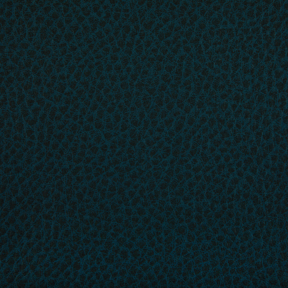 Woolf fabric in ink color - pattern WOOLF.505.0 - by Kravet Contract