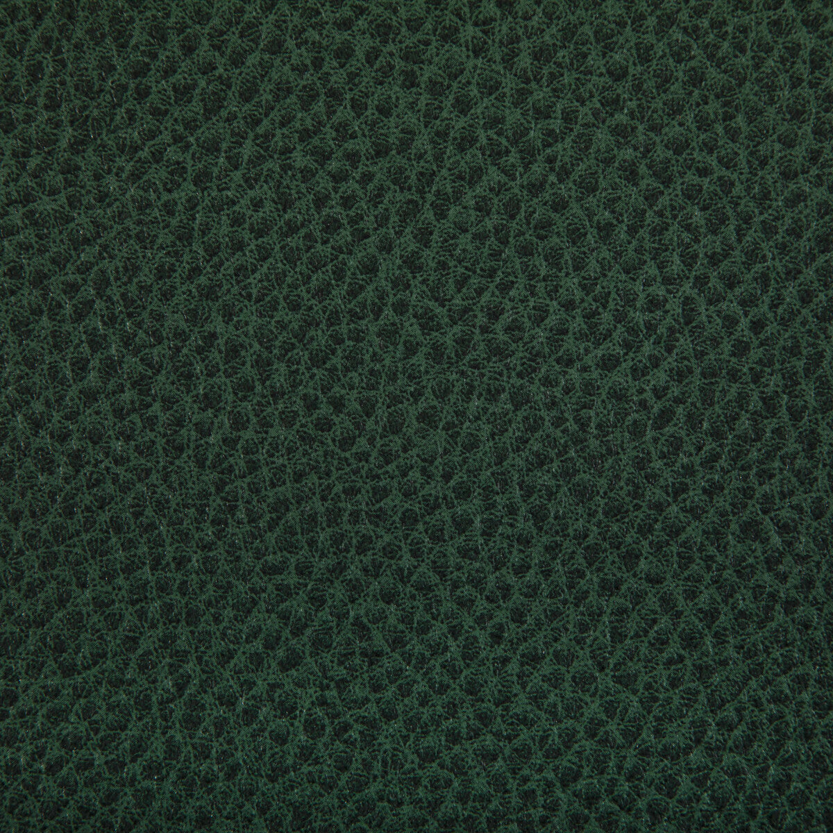 Woolf fabric in woodland color - pattern WOOLF.53.0 - by Kravet Contract