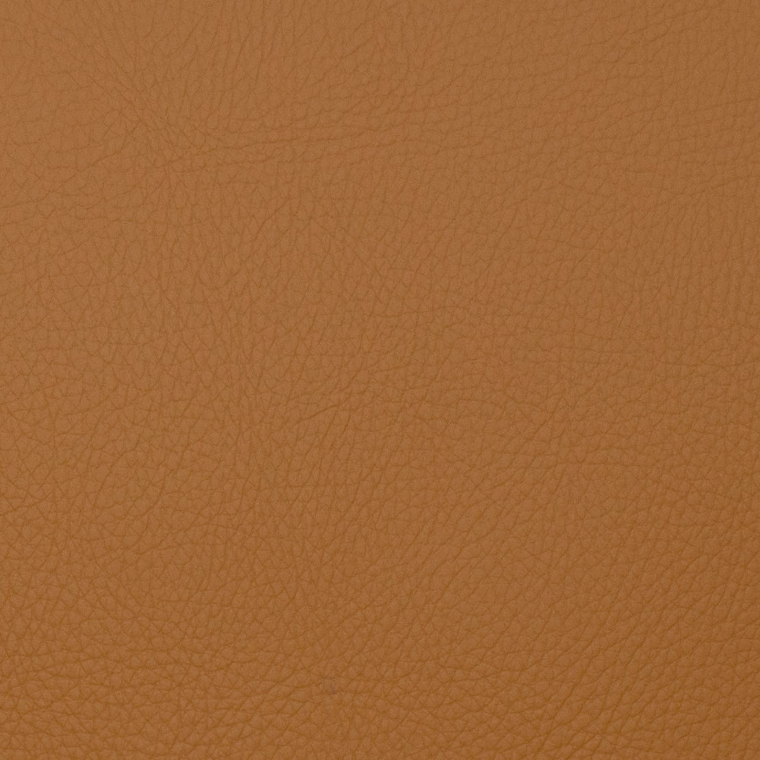 Neptune fabric in toast color - pattern number 09129 - by Europatex in the Neptune collection