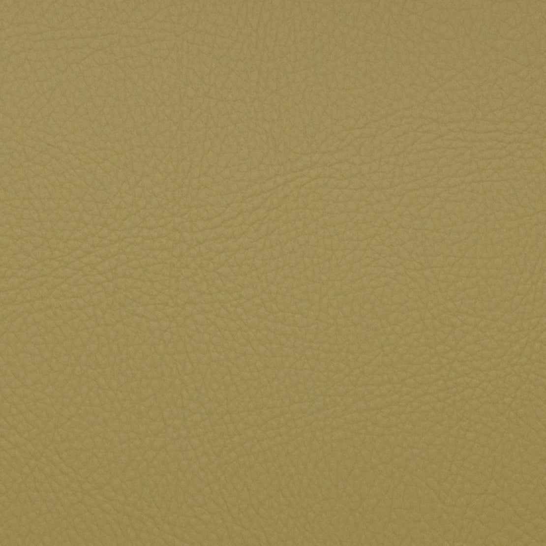 Neptune fabric in aloe color - pattern number 09091 - by Europatex in the Neptune collection