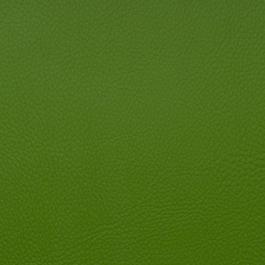 Neptune fabric in forest color - pattern number 09106 - by Europatex in the Neptune collection