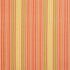 Cotton Candy Stripe fabric in coral and peach color - pattern number 10900-02 - by Charlotte in the Botanical Prints collection