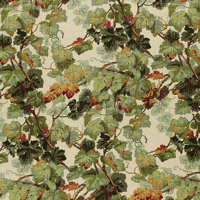 Arbor Vine fabric in document color - pattern number 1212012 - by Schumacher in the Classic Prints collection