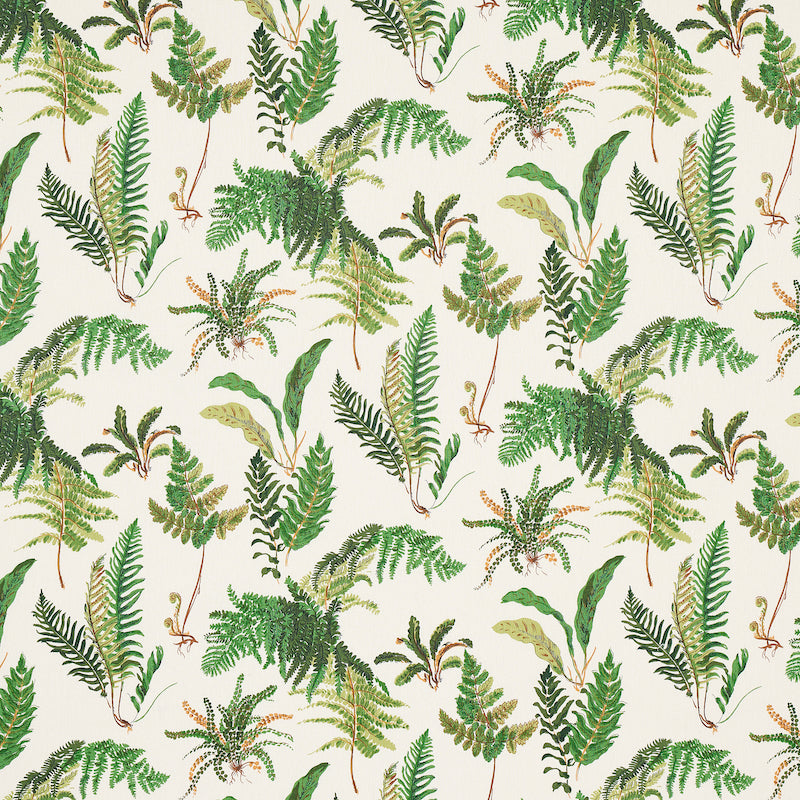 Les Fougeres fabric in document color - pattern number 174090 - by Schumacher in the Schumacher Classics collection