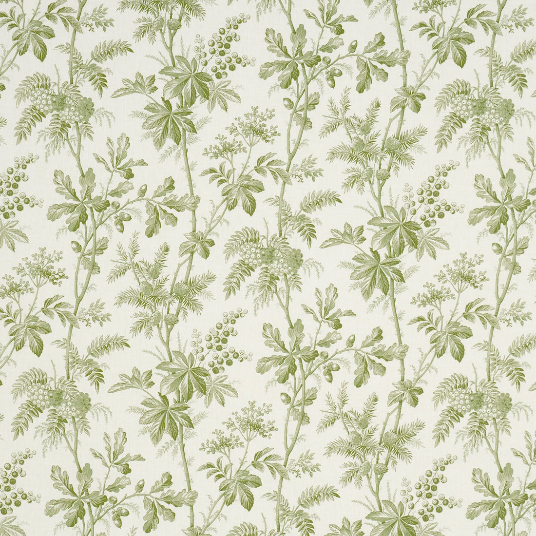 Brantwood Vine fabric in leaf color - pattern number 174114 - by Schumacher in the A Country Life collection