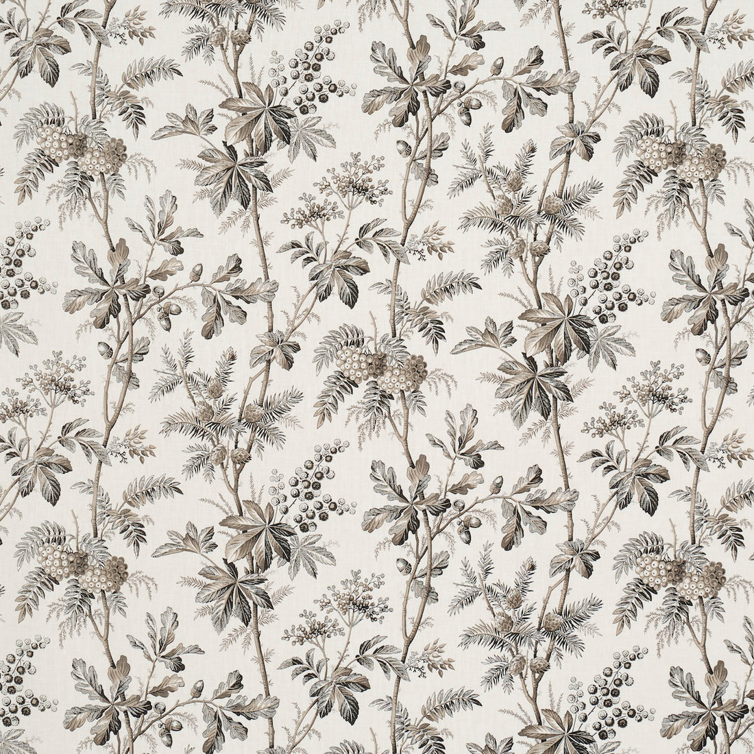 Brantwood Vine fabric in graphite color - pattern number 174115 - by Schumacher in the A Country Life collection