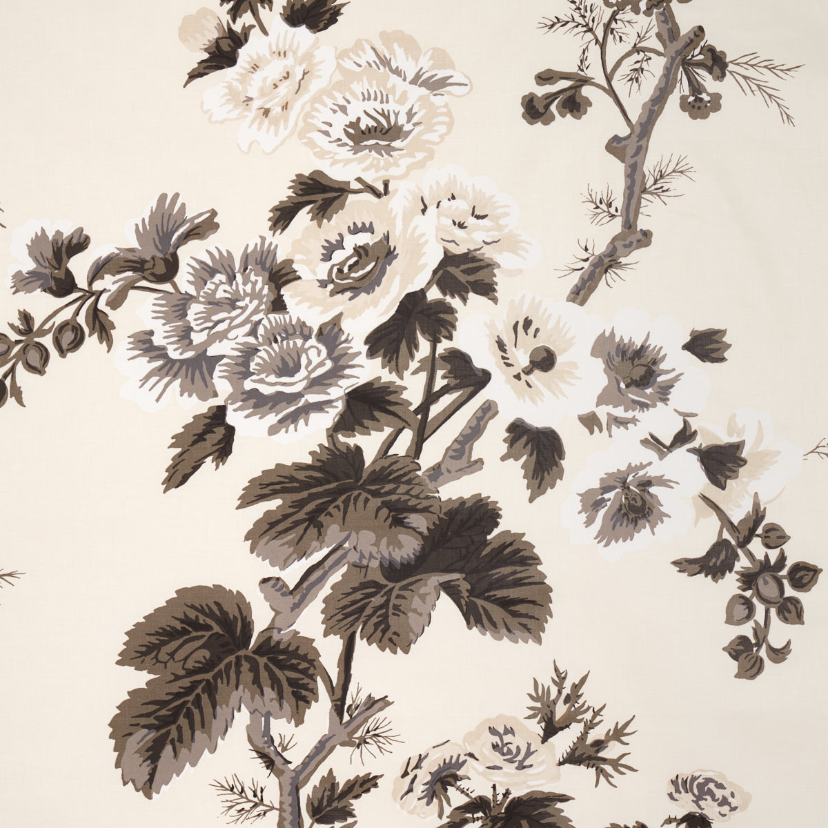 Pyne Hollyhock fabric in charcoal color - pattern number 174450 - by Schumacher in the Schumacher Classics collection