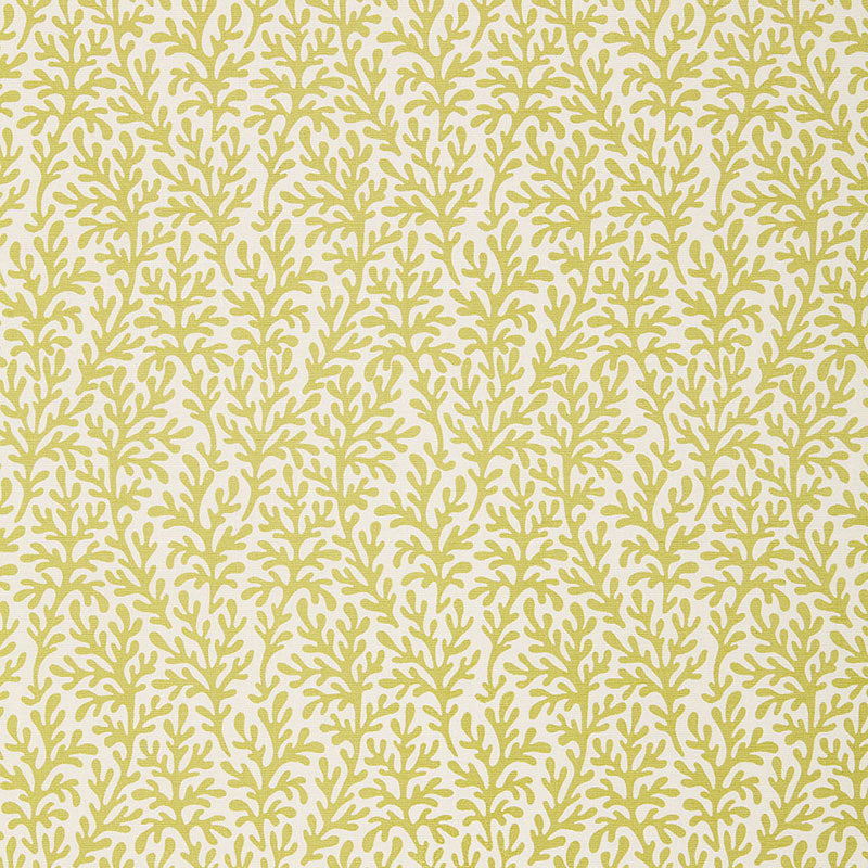 Sea Coral fabric in chartreuse color - pattern number 174462 - by Schumacher in the Tessera collection