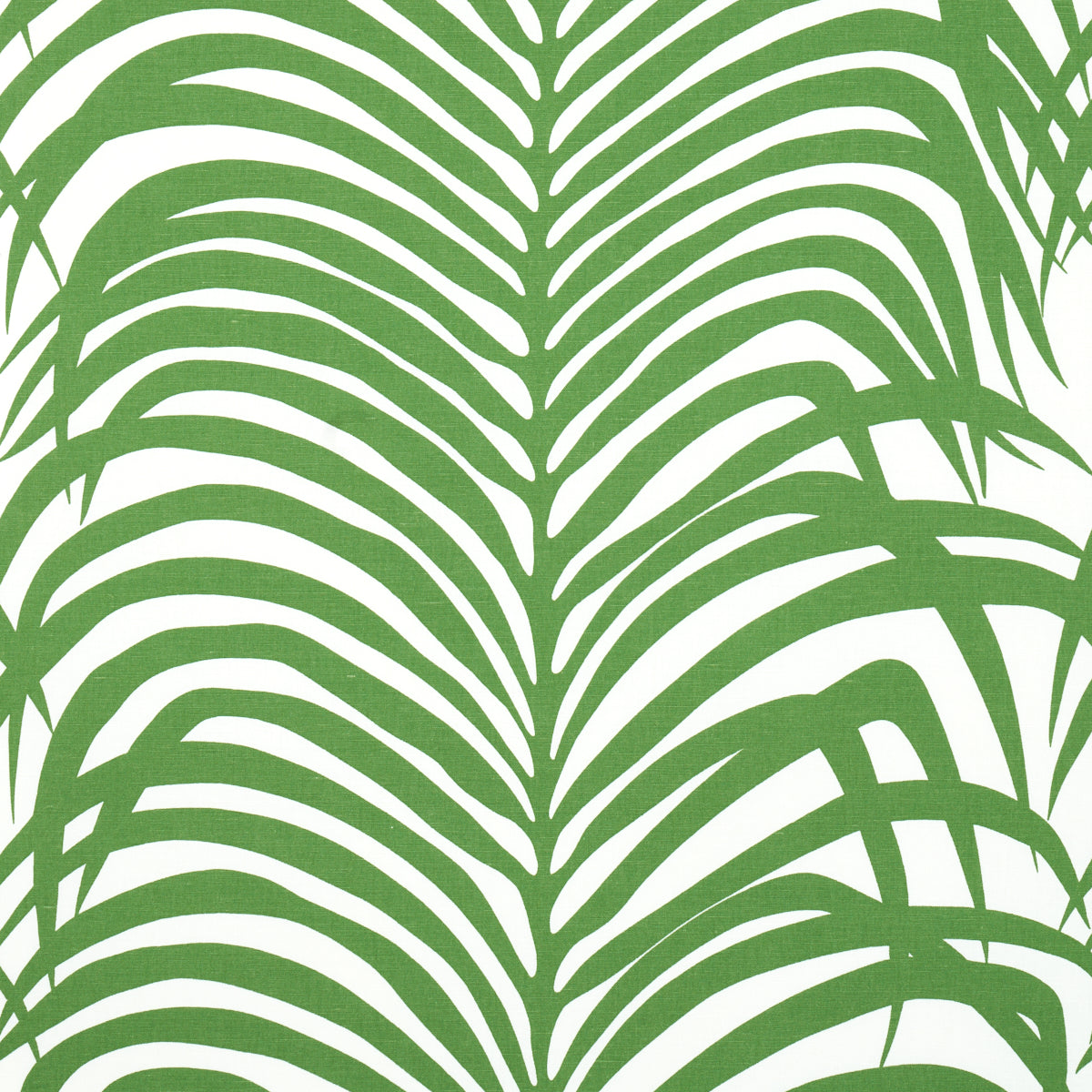 Zebra Palm fabric in jungle color - pattern number 174871 - by Schumacher in the Good Vibrations collection