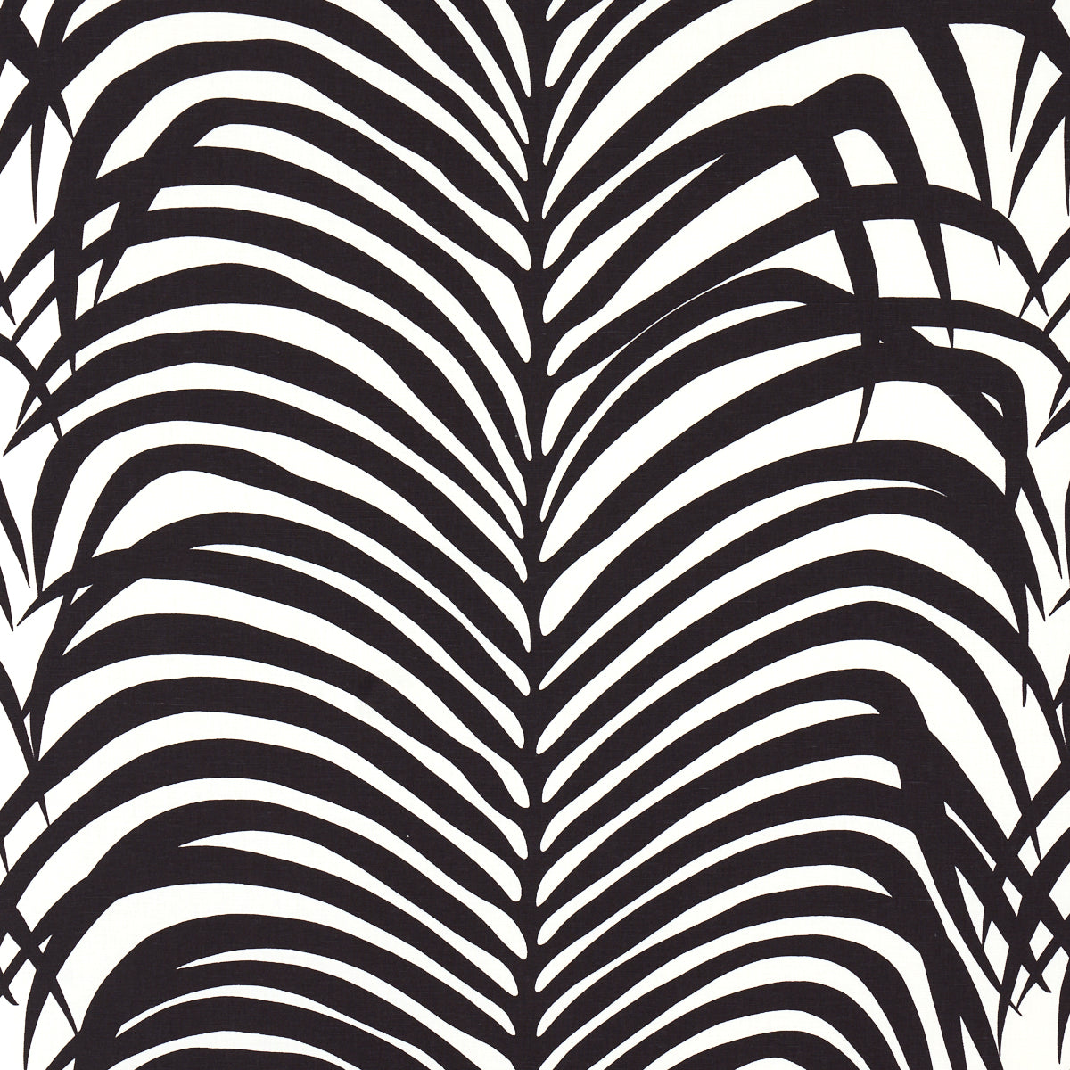 Zebra Palm fabric in ebony color - pattern number 174872 - by Schumacher in the Good Vibrations collection