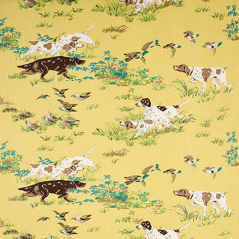 Pointers fabric in yellow color - pattern number 175162 - by Schumacher in the Flight of Fancy collection