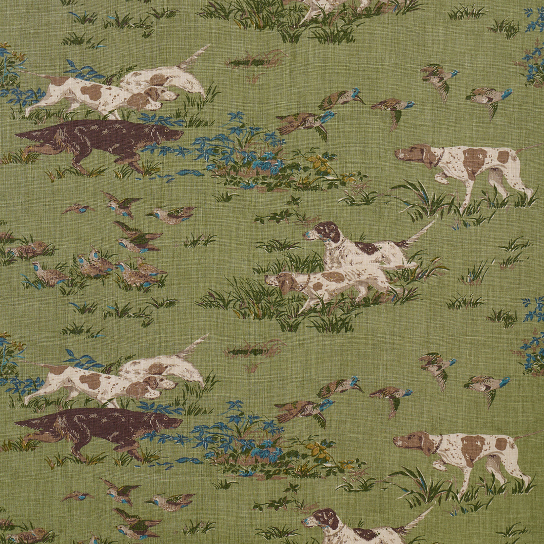 Pointers fabric in meadow color - pattern number 175164 - by Schumacher in the A Country Life collection