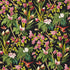 Seychelles fabric in noir color - pattern number 175700 - by Schumacher in the Tropicana collection