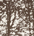 Woodland fabric in bark color - pattern number 176212 - by Schumacher in the Good Vibrations collection