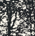 Woodland fabric in black color - pattern number 176213 - by Schumacher in the Good Vibrations collection