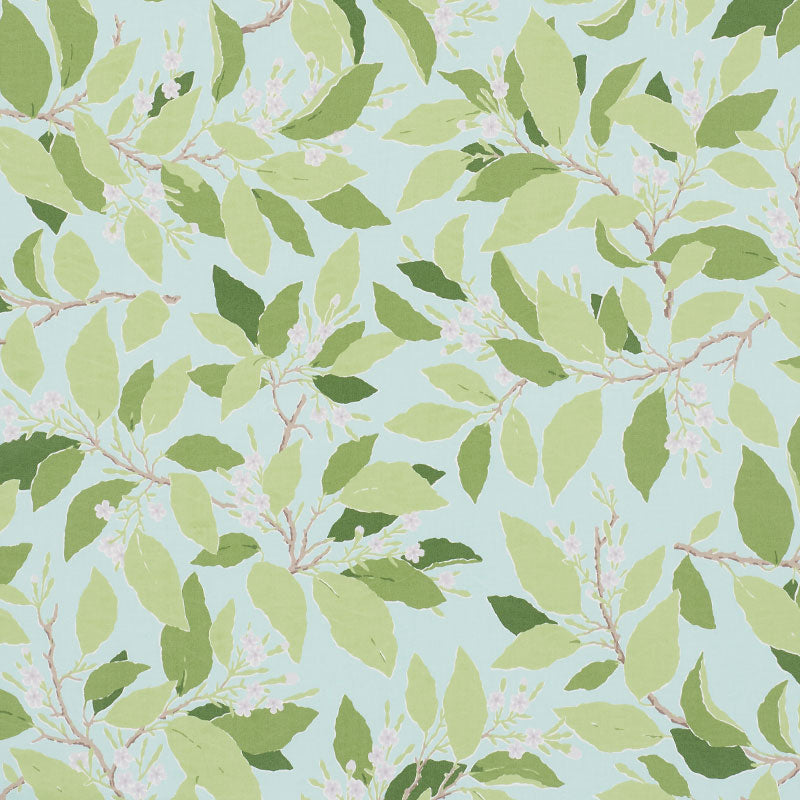 Dogwood Leaf fabric in aqua color - pattern number 176522 - by Schumacher in the Miles Redd collection
