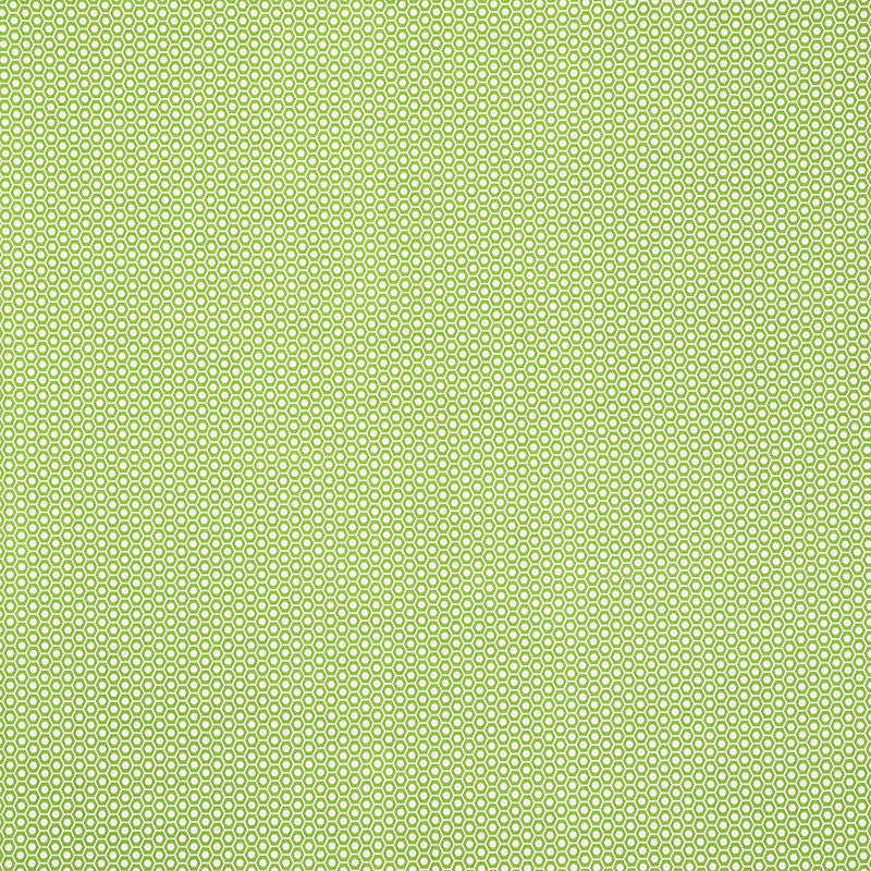 Queen B II Indoor Outdoor fabric in green color - pattern number 176560 - by Schumacher in the Studio Bon collection