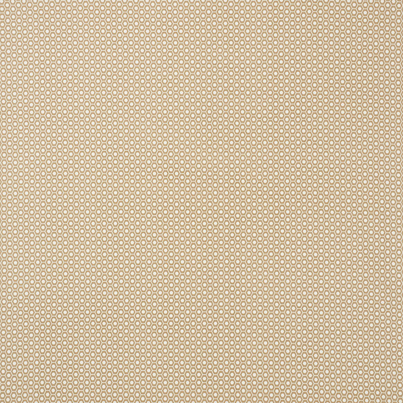 Queen B II Indoor Outdoor fabric in sand color - pattern number 176561 - by Schumacher in the Studio Bon collection