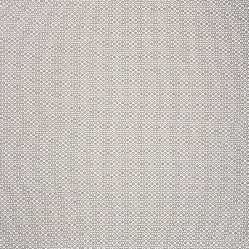 Queen B II Indoor Outdoor fabric in grey color - pattern number 176562 - by Schumacher in the Studio Bon collection