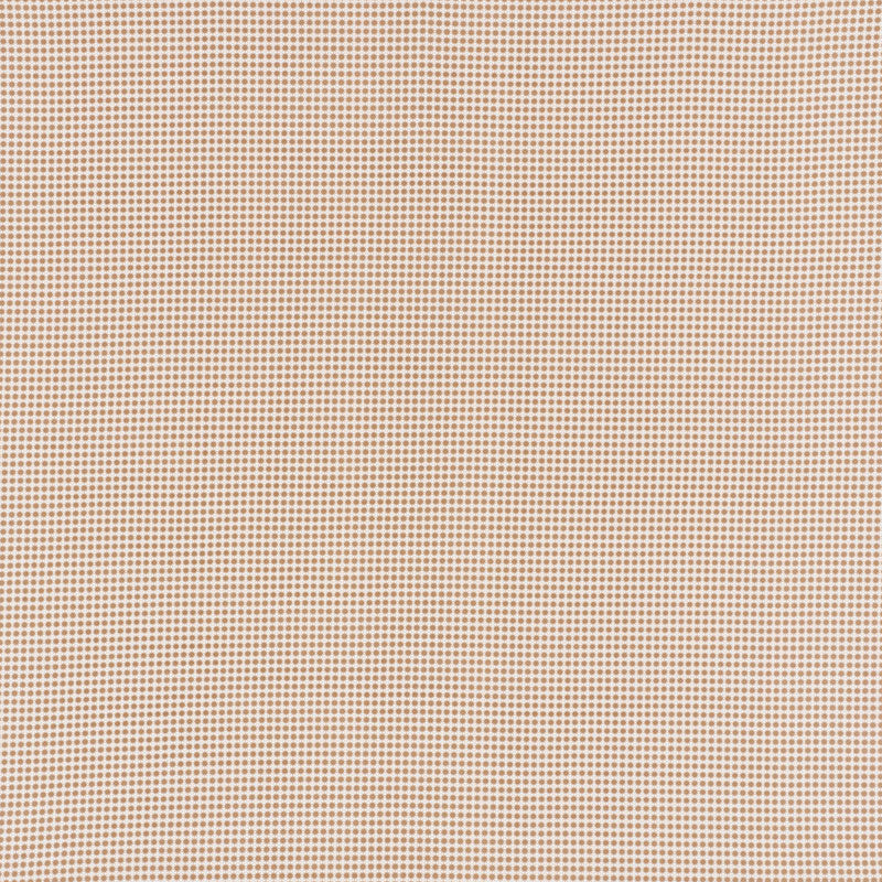 Stella II Indoor Outdoor fabric in sand color - pattern number 176574 - by Schumacher in the Studio Bon collection