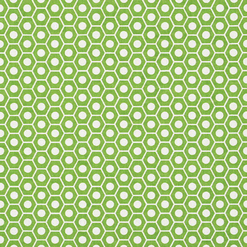 Queen B fabric in green color - pattern number 177075 - by Schumacher in the Studio Bon collection