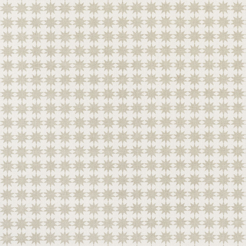 Stella fabric in taupe color - pattern number 177081 - by Schumacher in the Studio Bon collection