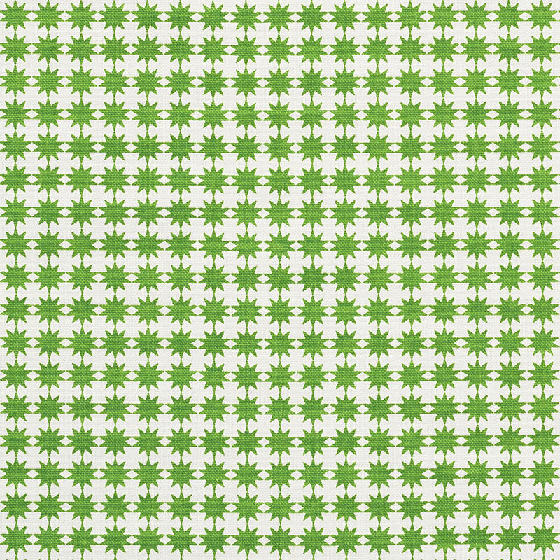 Stella fabric in green color - pattern number 177082 - by Schumacher in the Studio Bon collection