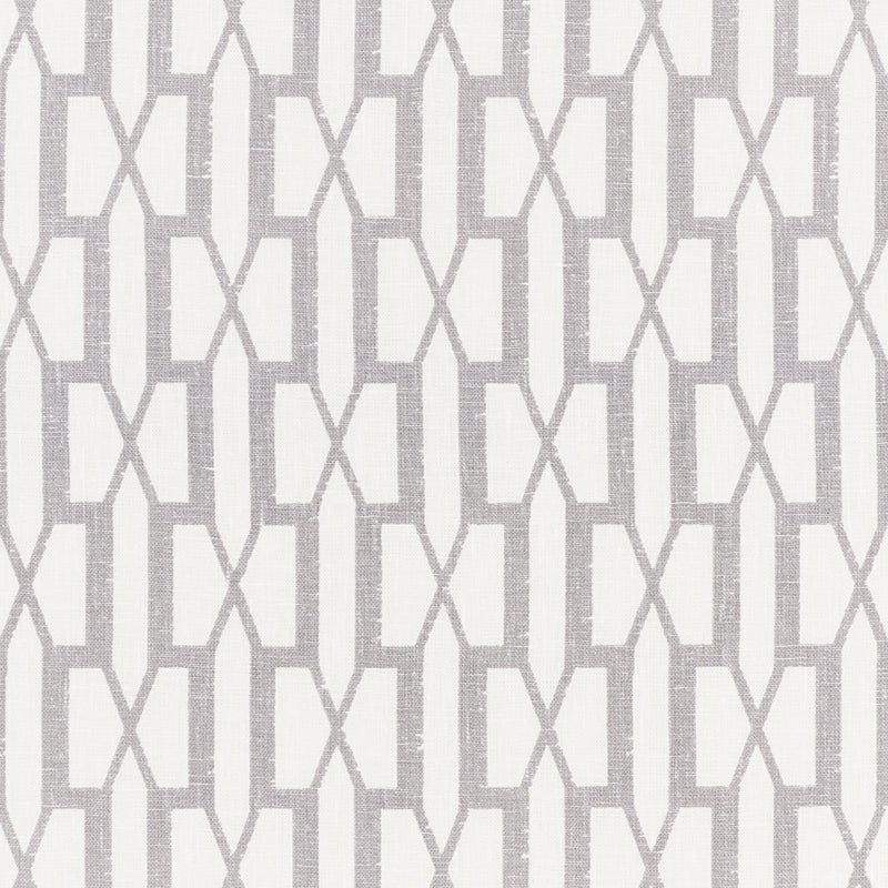 Belvedere fabric in grey color - pattern number 177190 - by Schumacher in the Veere Grenney collection