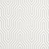 Vanderbilt Print fabric in grisaille color - pattern number 177271 - by Schumacher in the Mary Mcdonald collection