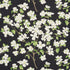 Blooming Branch fabric in black color - pattern number 177412 - by Schumacher in the Schumacher Classics collection