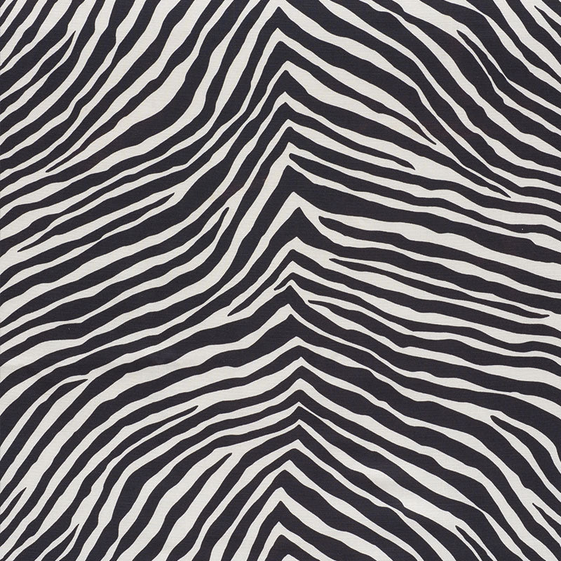 Iconic Zebra fabric in black color - pattern number 177443 - by Schumacher in the Happy Together collection