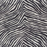Iconic Zebra fabric in black color - pattern number 177443 - by Schumacher in the Happy Together collection