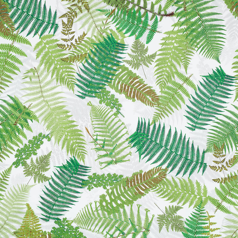 Fernarium fabric in green and ivory color - pattern number 177590 - by Schumacher in the Clements Ribeiro collection