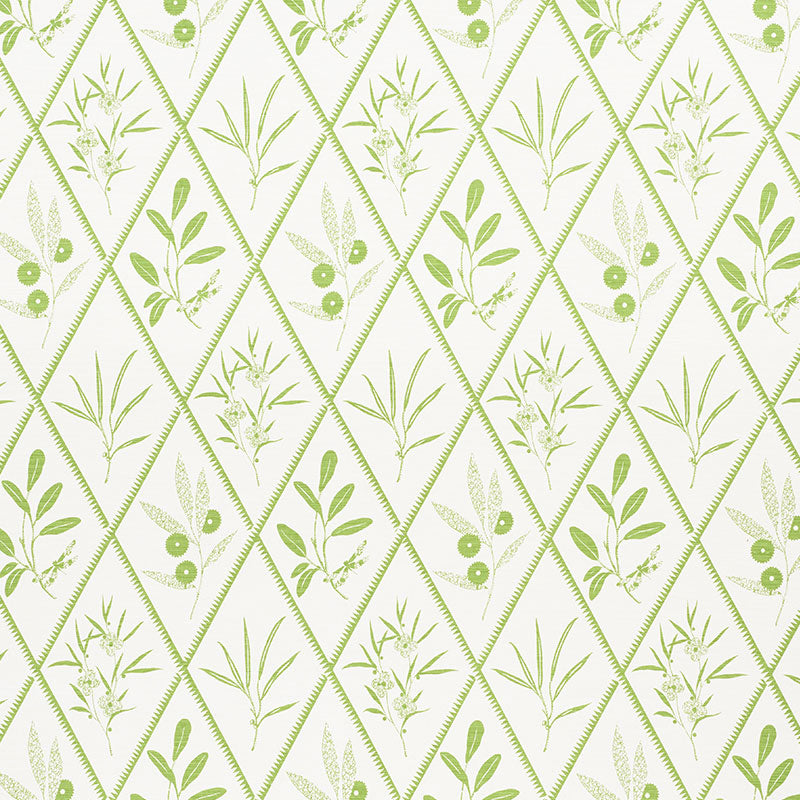 Endimione fabric in leaf color - pattern number 177641 - by Schumacher in the Charlap Hyman &amp; Herrero collection