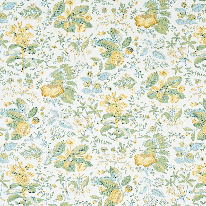 Pomegranate Botanical fabric in citron color - pattern number 178123 - by Schumacher in the Schumacher Classics collection