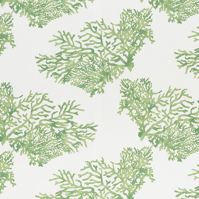 Great Barrier Reef II fabric in green color - pattern number 178291 - by Schumacher in the Indoor-Outdoor Prints &amp; Wovens collection
