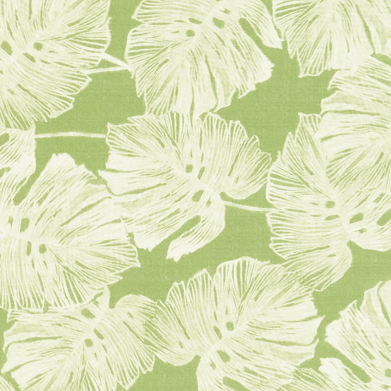 Del Coco Sheer fabric in leaf color - pattern number 178342 - by Schumacher in the Patterned Sheers &amp; Casements collection