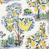 Citrus Garden Sheer fabric in primary color - pattern number 178350 - by Schumacher in the Patterned Sheers & Casements collection