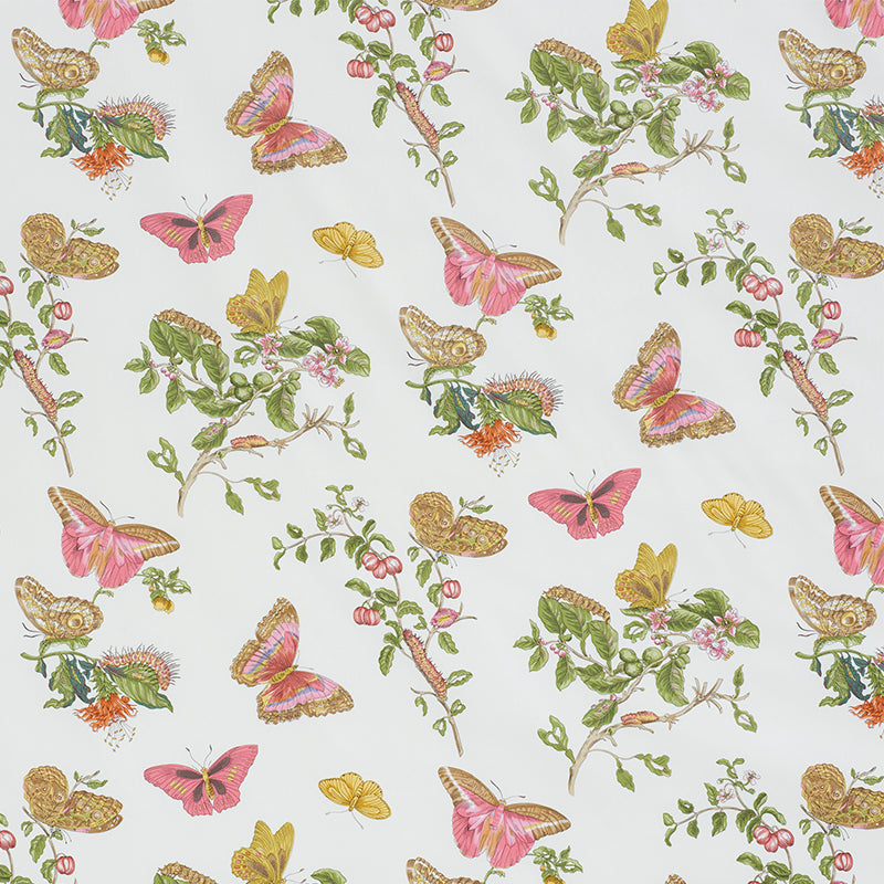 Baudin Butterfly Chintz fabric in blush color - pattern number 178720 - by Schumacher in the Schumacher Classics collection