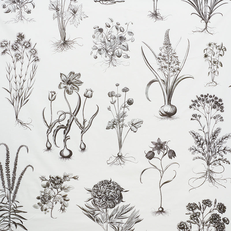Cabot Botanical Large fabric in ivory color - pattern number 178740 - by Schumacher in the Schumacher Classics collection