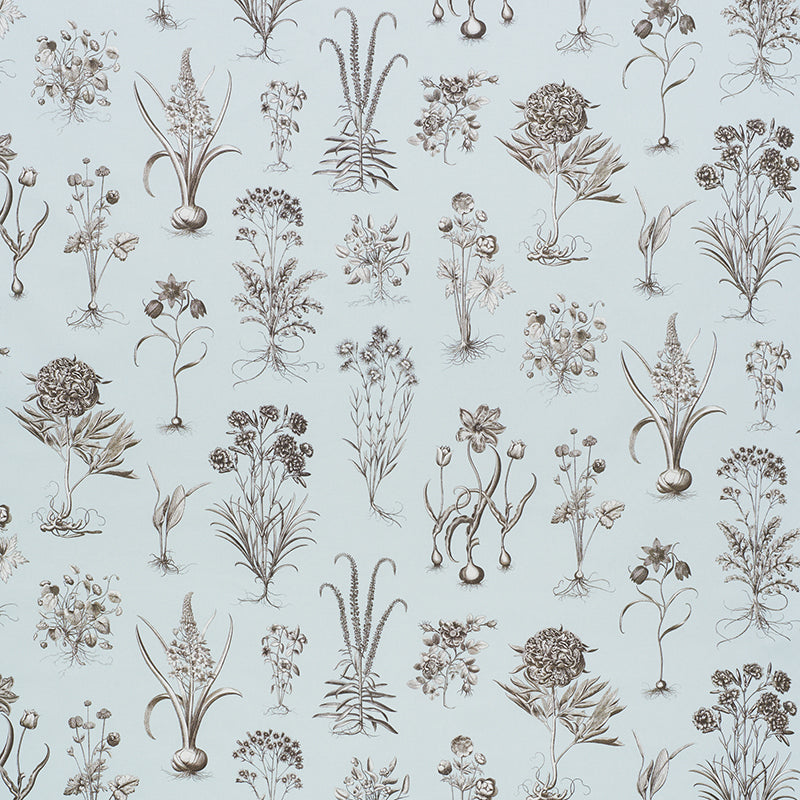 Cabot Botanical fabric in sky color - pattern number 178750 - by Schumacher in the Schumacher Classics collection