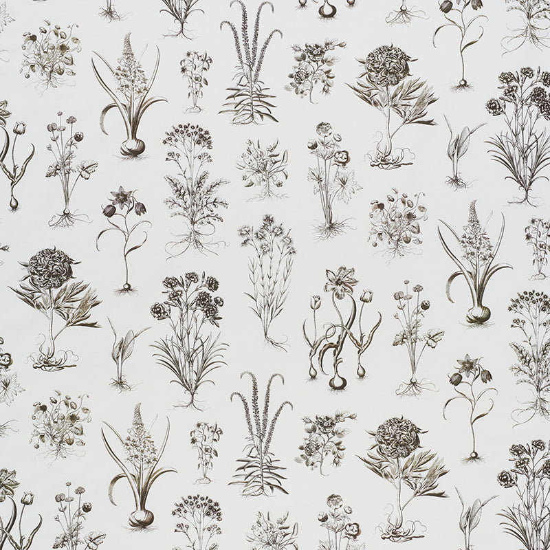 Cabot Botanical fabric in ivory color - pattern number 178751 - by Schumacher in the Schumacher Classics collection