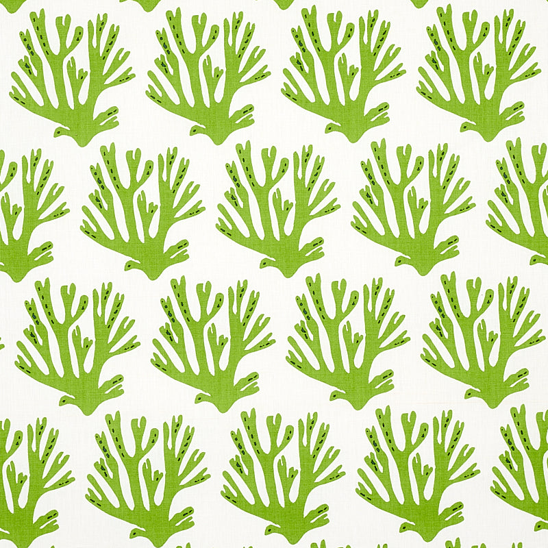 Coral fabric in green color - pattern number 179101 - by Schumacher in the Molly Mahon collection