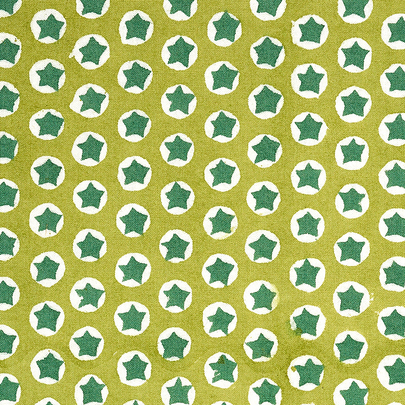 Tuk Tuk Hand Block Print fabric in green color - pattern number 179223 - by Schumacher in the Molly Mahon collection
