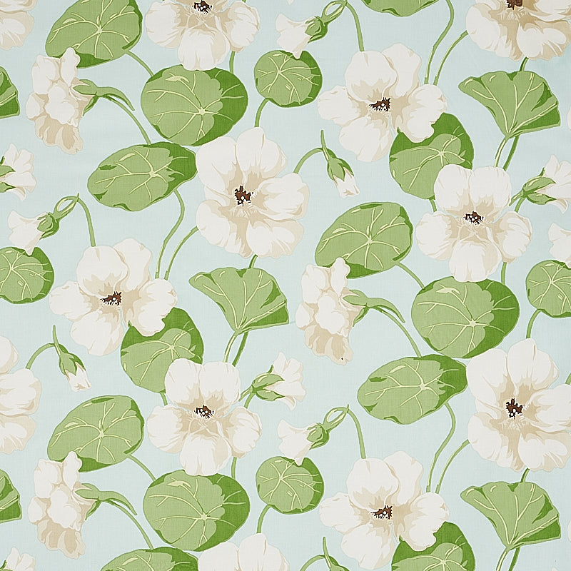 Nasturtium fabric in sky color - pattern number 179491 - by Schumacher in the Signature Schumacher collection