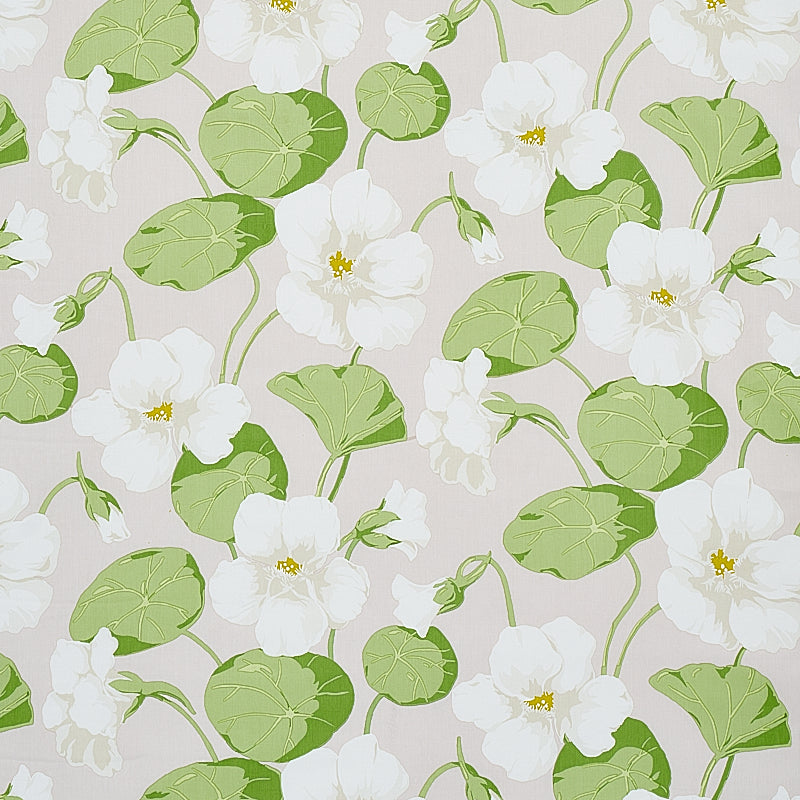 Nasturtium fabric in stone color - pattern number 179492 - by Schumacher in the Signature Schumacher collection
