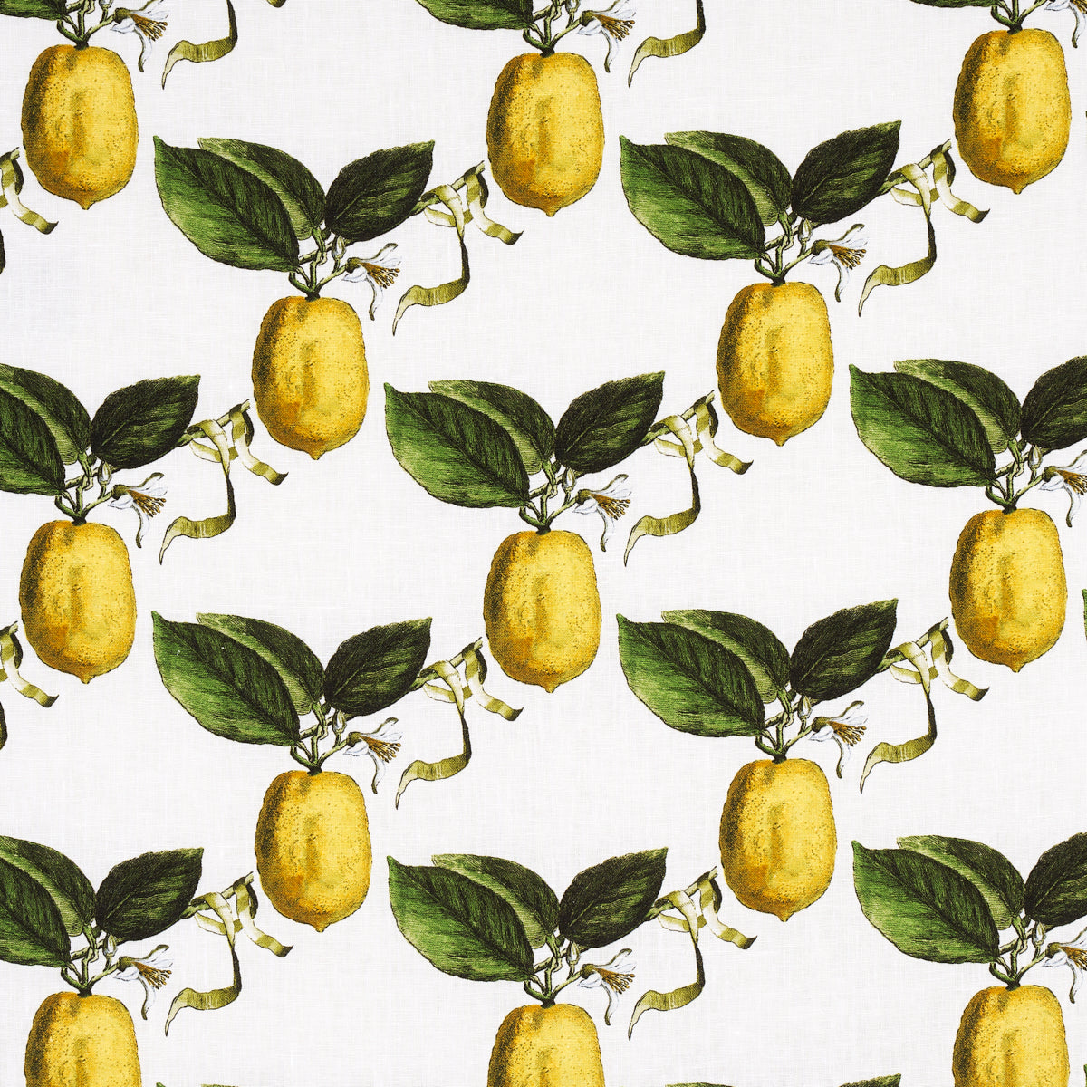 Le Citron fabric in ivory color - pattern number 180630 - by Schumacher in the Johnson Hartig collection