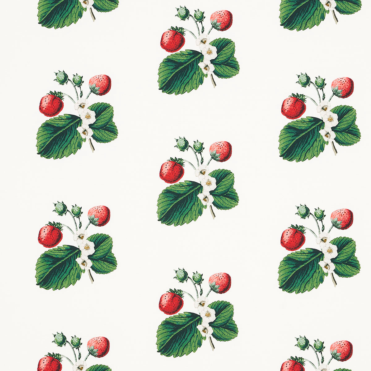 Strawberry Hill fabric in white color - pattern number 180640 - by Schumacher in the Johnson Hartig collection