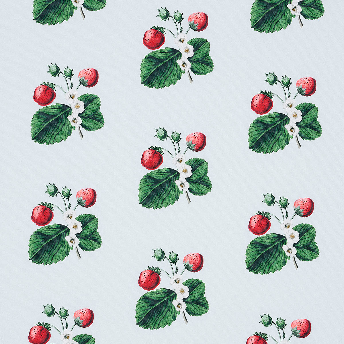 Strawberry Hill fabric in sky color - pattern number 180641 - by Schumacher in the Johnson Hartig collection