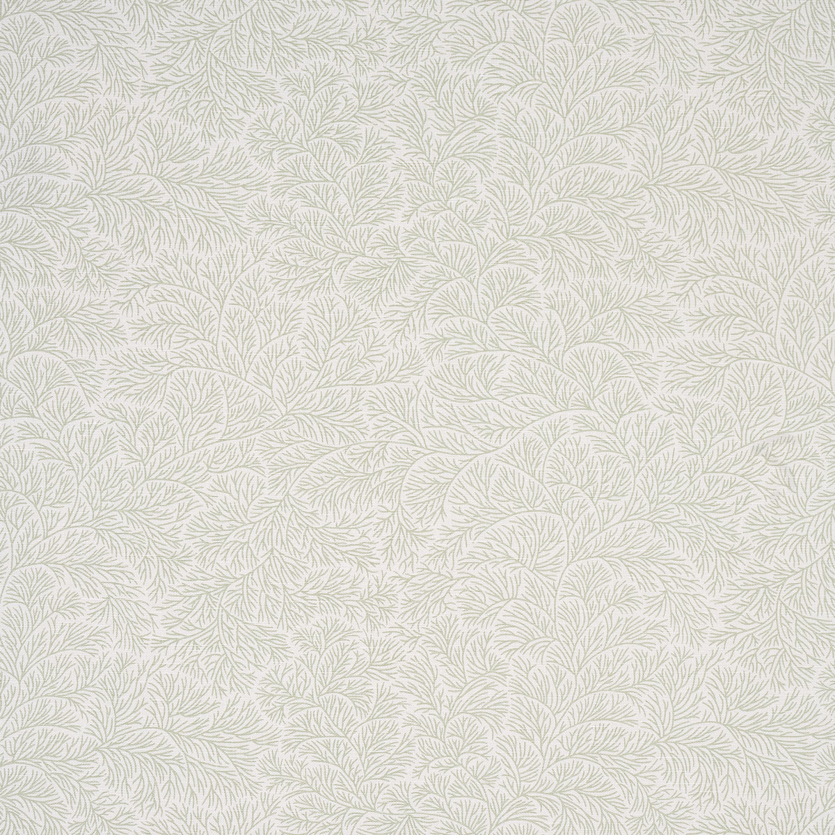 Bougainvillea fabric in leaf green color - pattern number 180701 - by Schumacher in the Mark D. Sikes collection